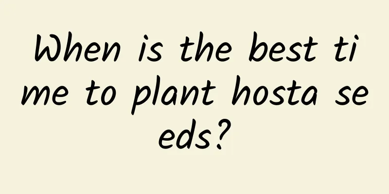 When is the best time to plant hosta seeds?