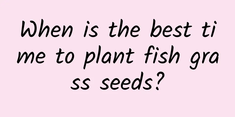 When is the best time to plant fish grass seeds?