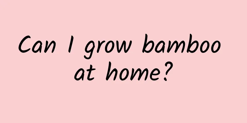 Can I grow bamboo at home?
