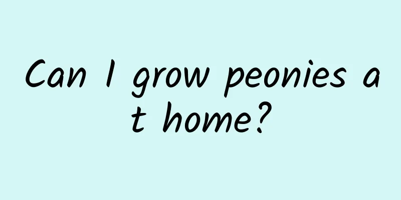 Can I grow peonies at home?