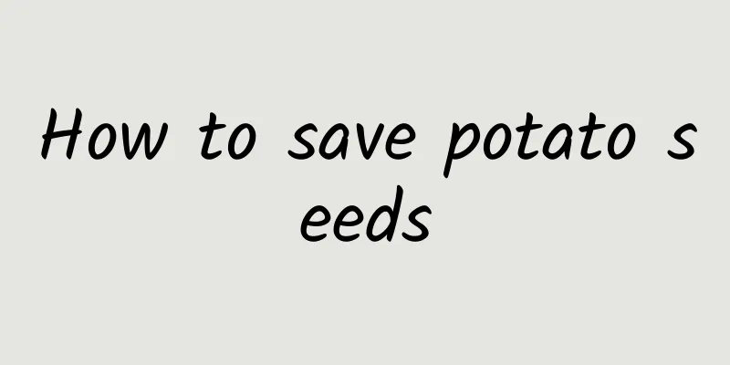 How to save potato seeds