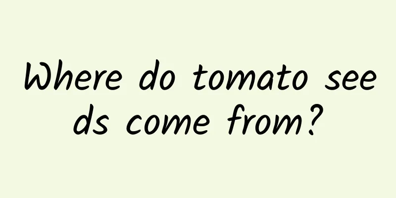 Where do tomato seeds come from?