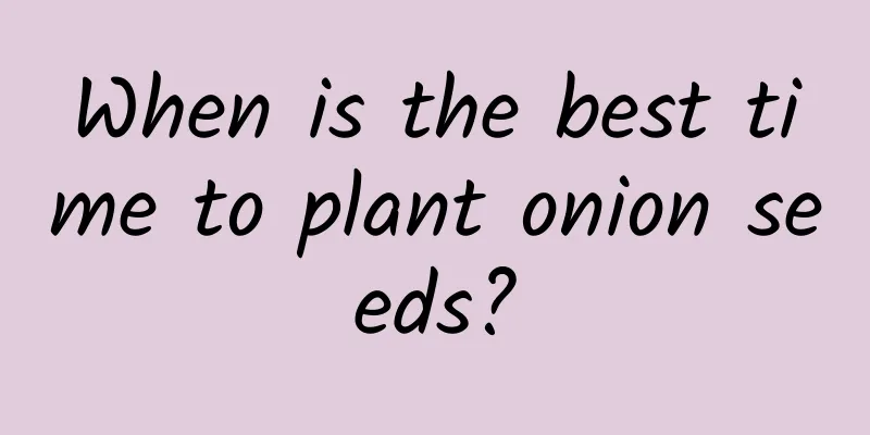 When is the best time to plant onion seeds?