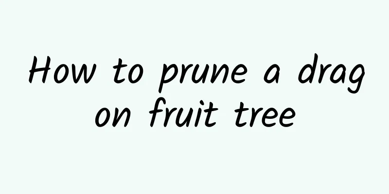 How to prune a dragon fruit tree