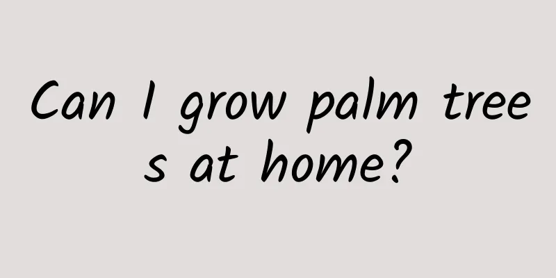 Can I grow palm trees at home?
