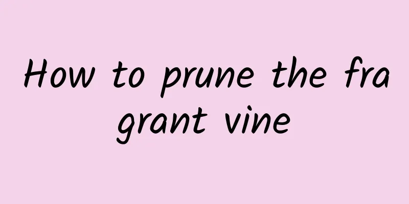 How to prune the fragrant vine