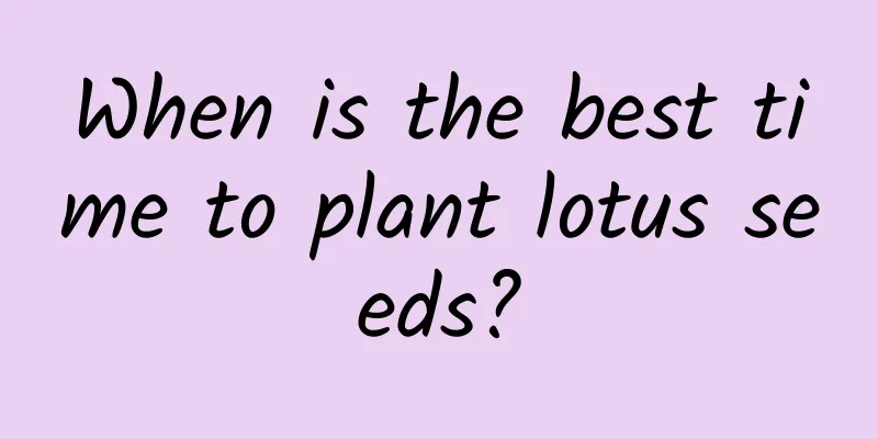 When is the best time to plant lotus seeds?