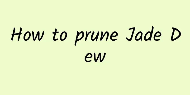 How to prune Jade Dew