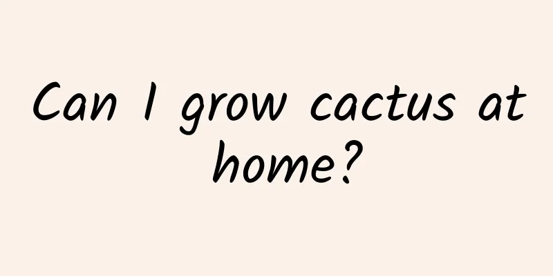 Can I grow cactus at home?