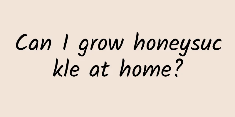 Can I grow honeysuckle at home?