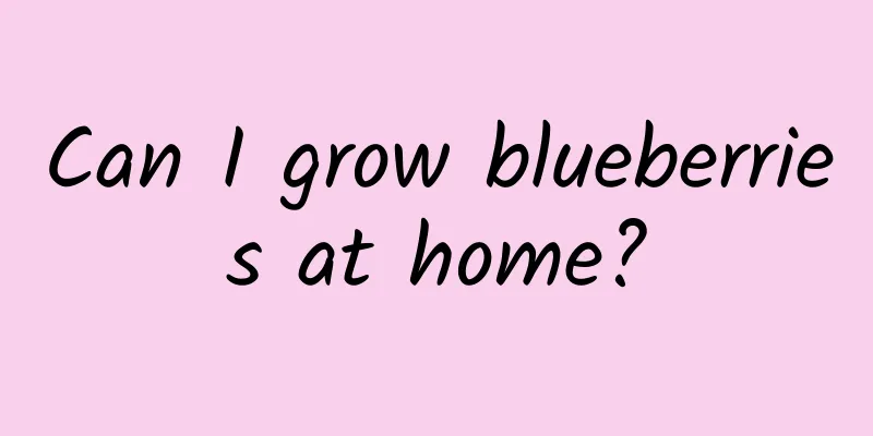 Can I grow blueberries at home?
