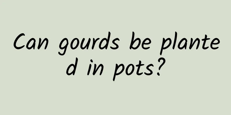 Can gourds be planted in pots?