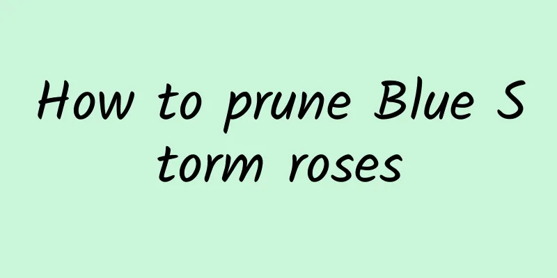 How to prune Blue Storm roses