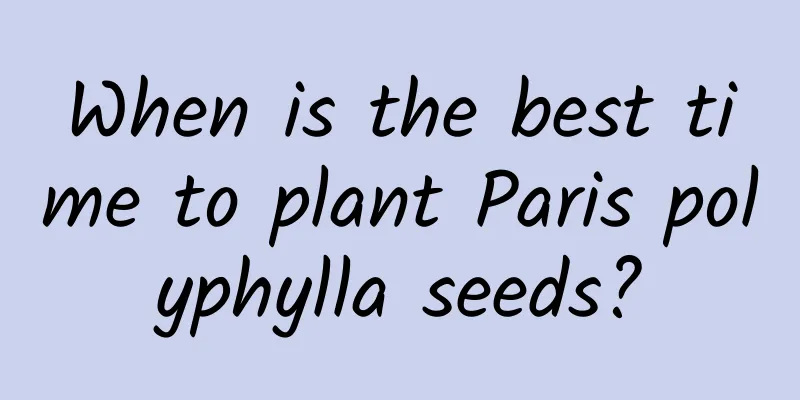 When is the best time to plant Paris polyphylla seeds?