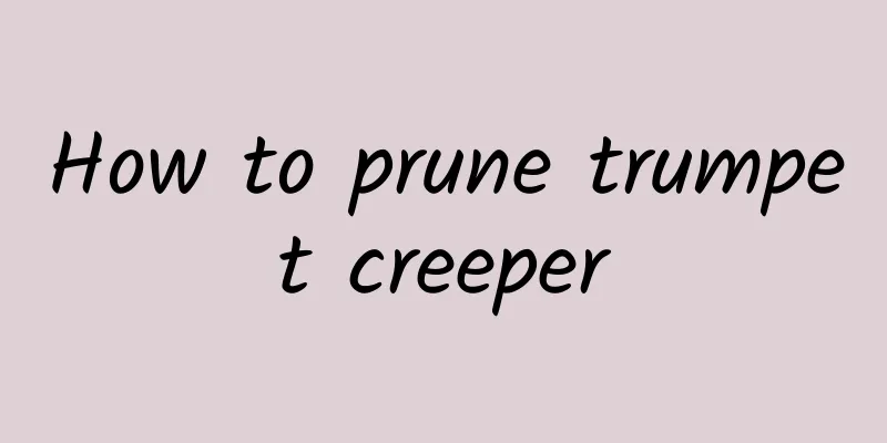 How to prune trumpet creeper