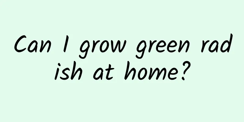 Can I grow green radish at home?
