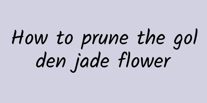 How to prune the golden jade flower