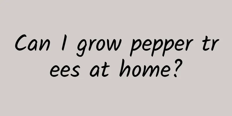 Can I grow pepper trees at home?