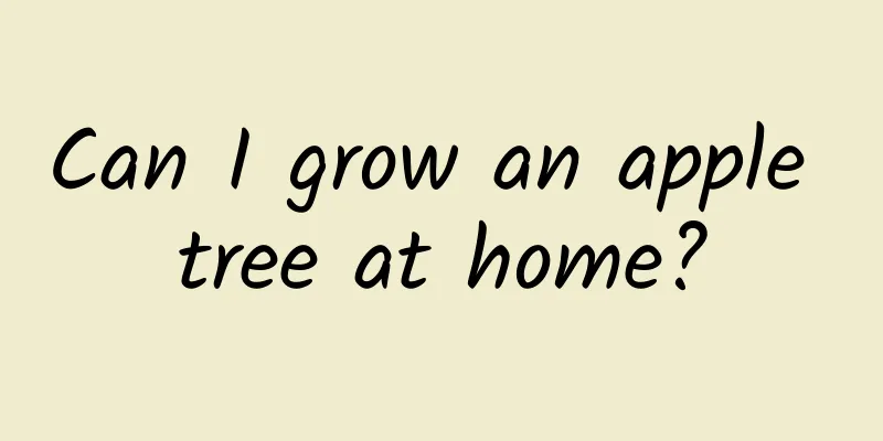 Can I grow an apple tree at home?