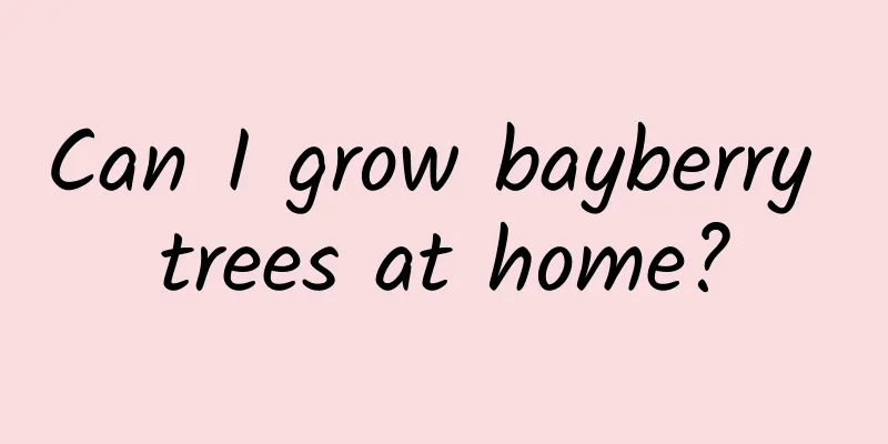 Can I grow bayberry trees at home?