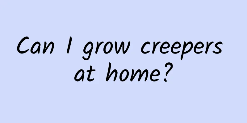 Can I grow creepers at home?