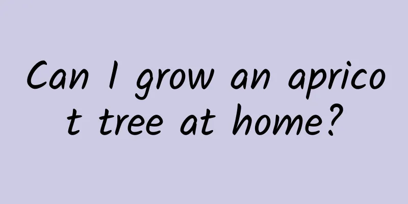 Can I grow an apricot tree at home?