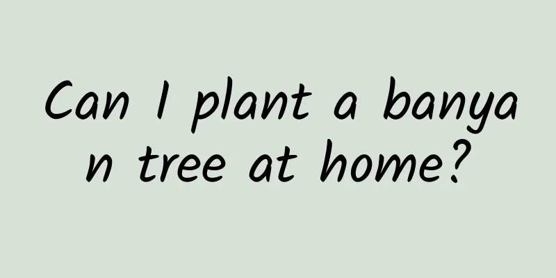 Can I plant a banyan tree at home?