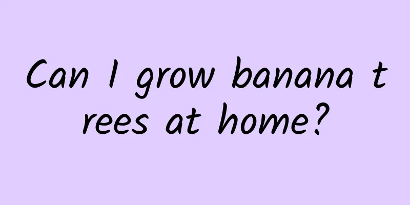 Can I grow banana trees at home?