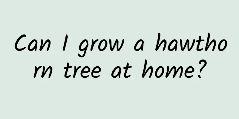 Can I grow a hawthorn tree at home?