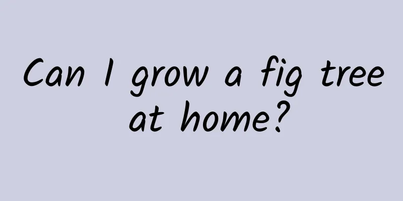 Can I grow a fig tree at home?