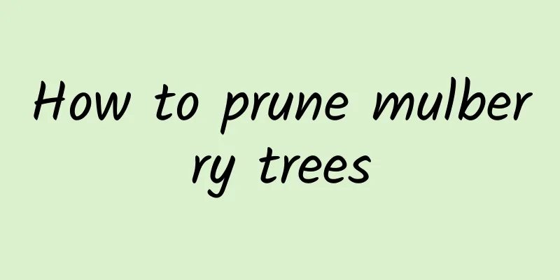 How to prune mulberry trees