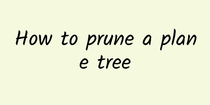 How to prune a plane tree