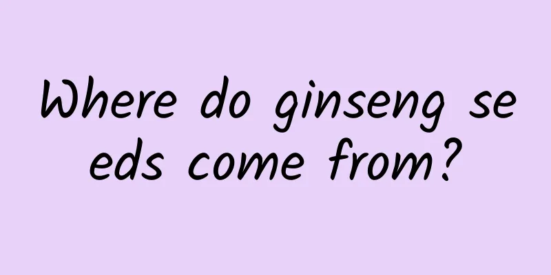 Where do ginseng seeds come from?