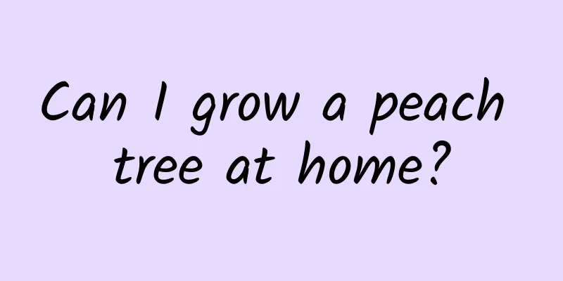 Can I grow a peach tree at home?