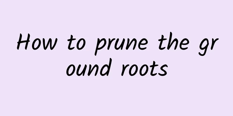 How to prune the ground roots