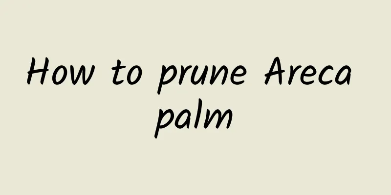 How to prune Areca palm