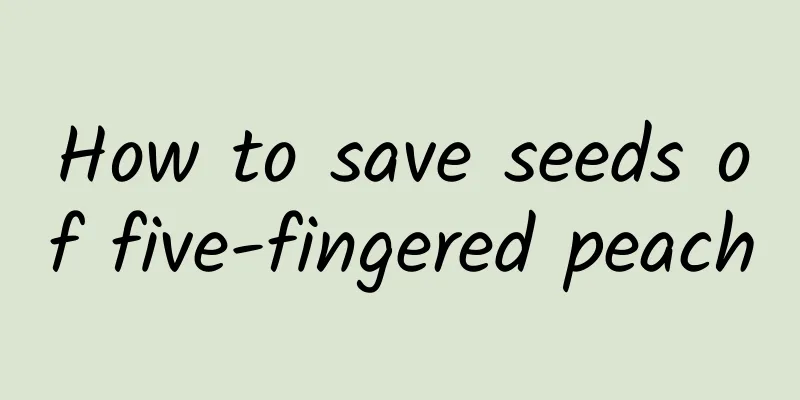 How to save seeds of five-fingered peach