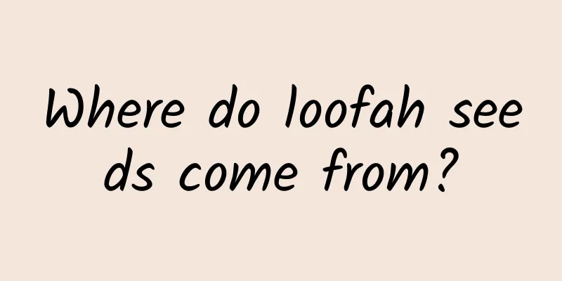 Where do loofah seeds come from?