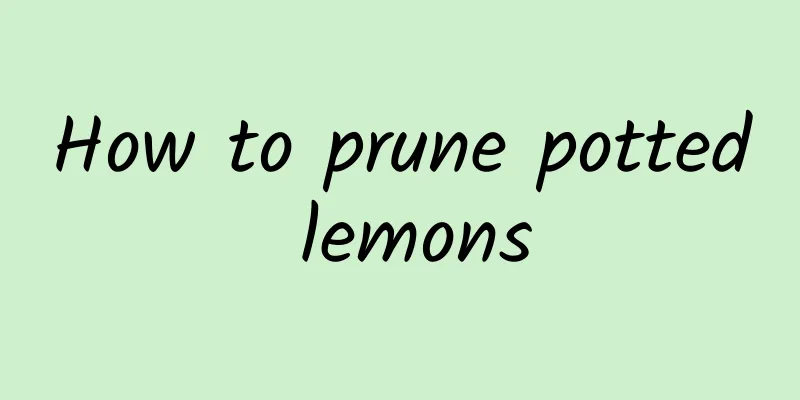 How to prune potted lemons