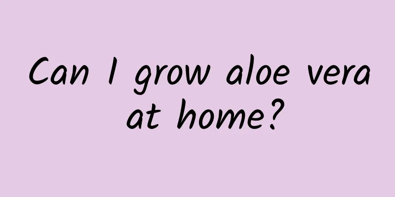 Can I grow aloe vera at home?