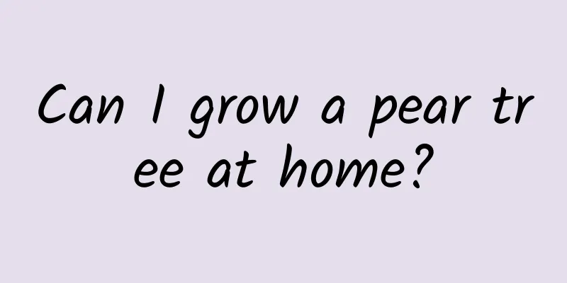 Can I grow a pear tree at home?