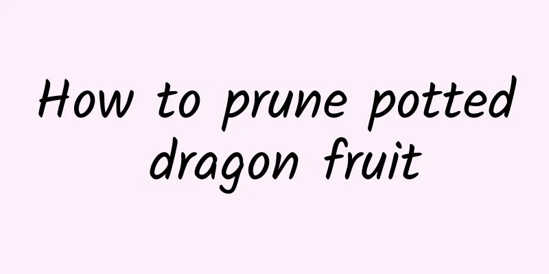 How to prune potted dragon fruit