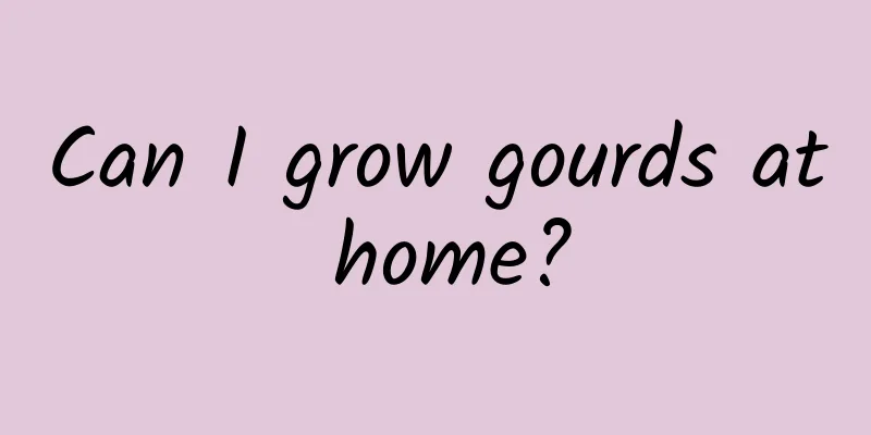 Can I grow gourds at home?