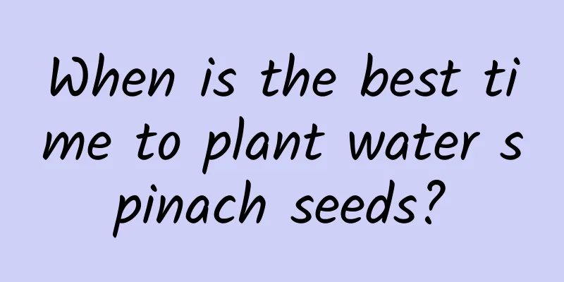 When is the best time to plant water spinach seeds?