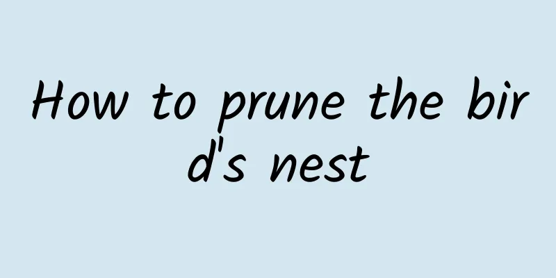How to prune the bird's nest