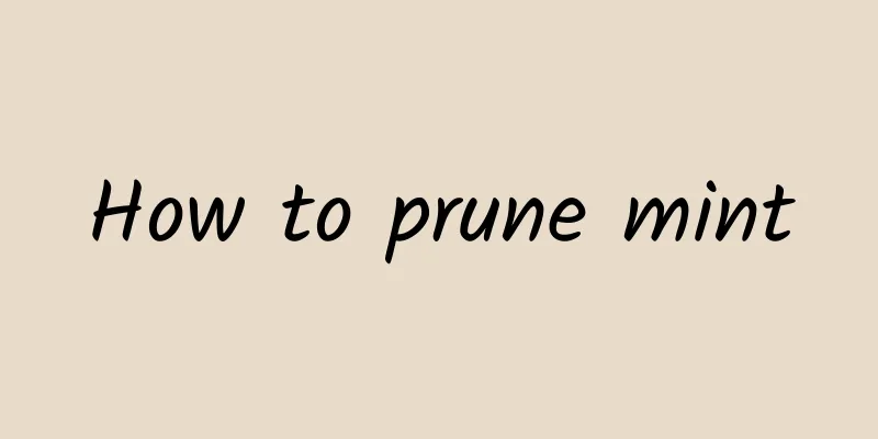 How to prune mint
