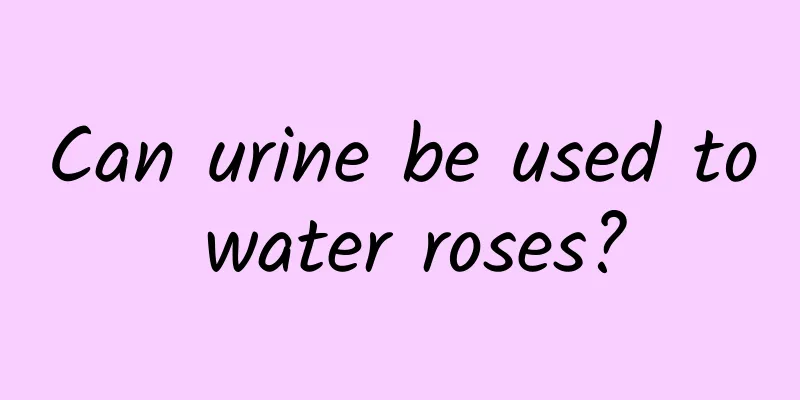 Can urine be used to water roses?