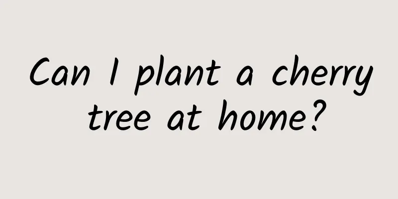 Can I plant a cherry tree at home?