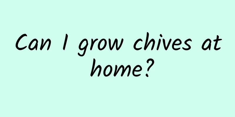 Can I grow chives at home?