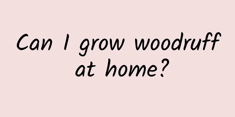 Can I grow woodruff at home?